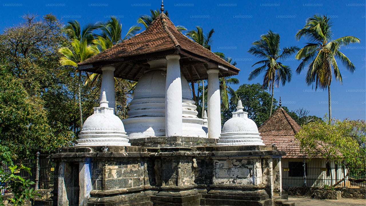 මහනුවර සිට පන්සල්  නැරඹීමේ චාරිකාව