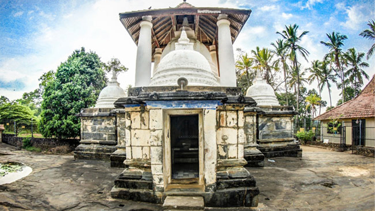 මහනුවර සිට පන්සල්  නැරඹීමේ චාරිකාව