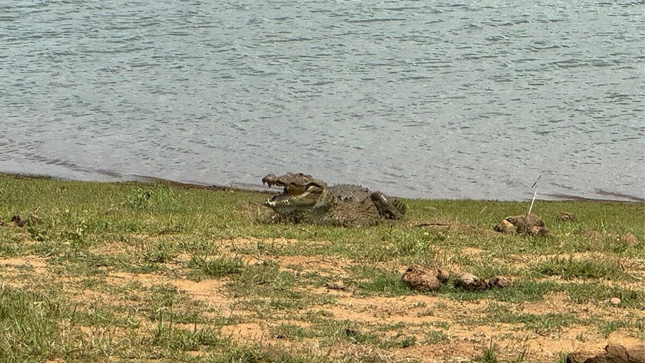 උඩවලව ජාතික වනෝද්‍යාන සෆාරි මිරිස්සෙන්