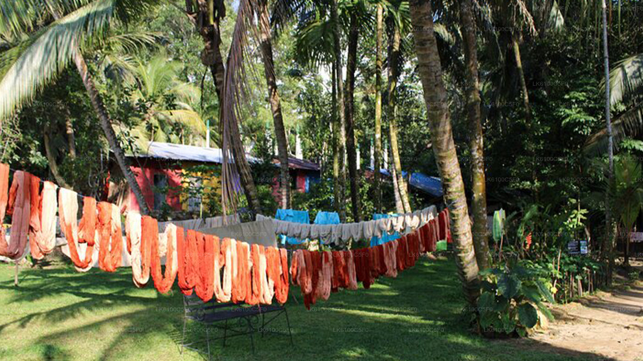 ගාල්ලේ සැඟවුණු මැණික් ගවේෂණය කර ප්‍රදේශවාසීන් සමඟ ආහාර ගන්න