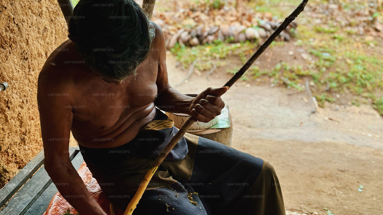 ගාල්ලේ සැඟවුණු මැණික් ගවේෂණය කර ප්‍රදේශවාසීන් සමඟ ආහාර ගන්න