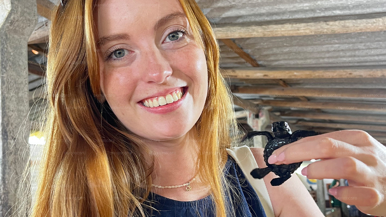 ගාල්ලේ සැඟවුණු මැණික් ගවේෂණය කර ප්‍රදේශවාසීන් සමඟ ආහාර ගන්න