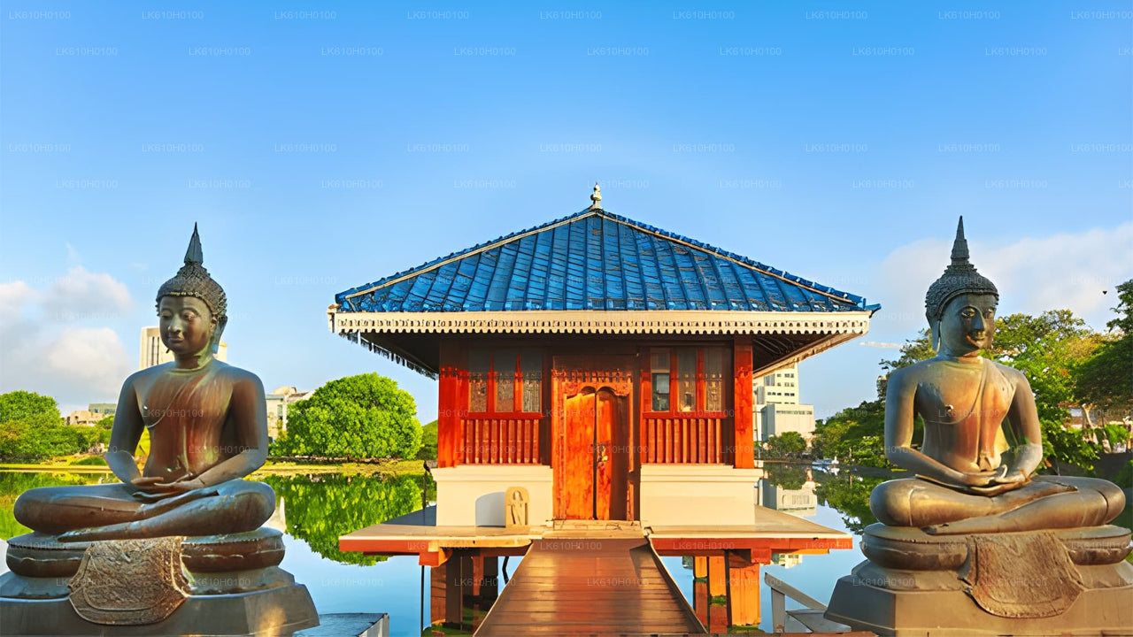 Colombo City Tour from Colombo Seaport