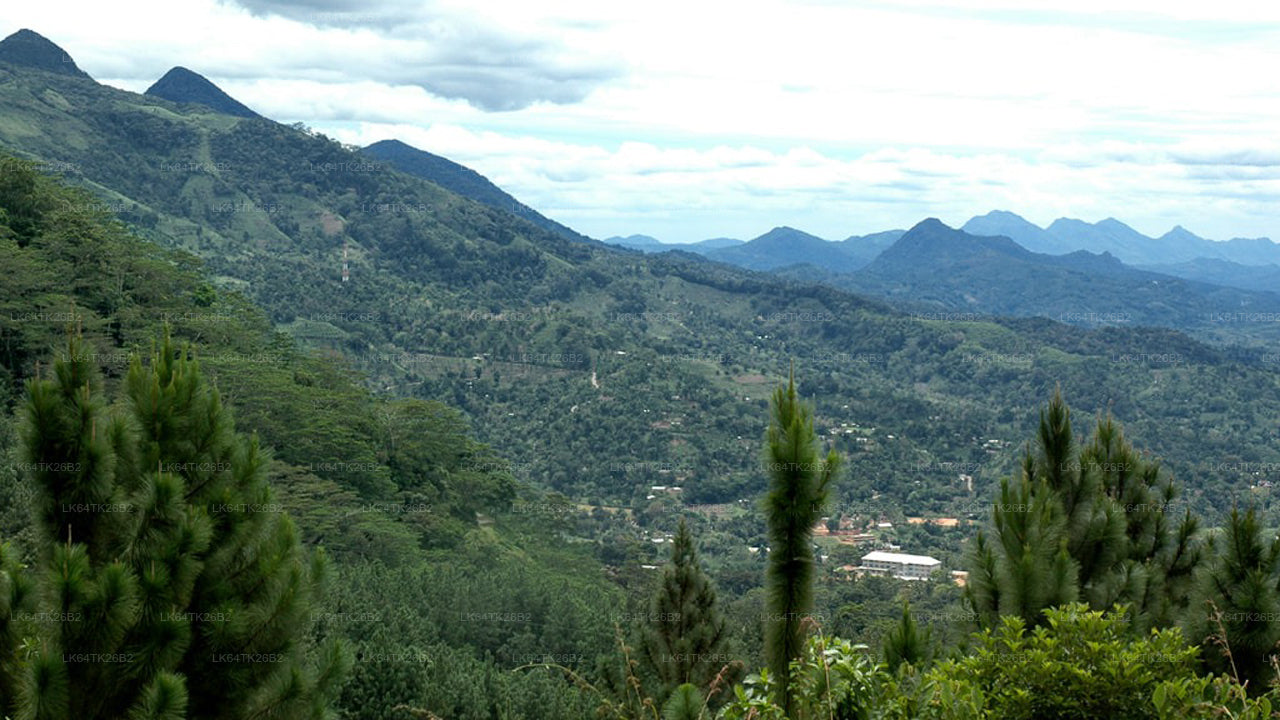 සිංහරාජ වැසි වනාන්තරයේ සිට සිංහ පර්වතයට ගමනක්