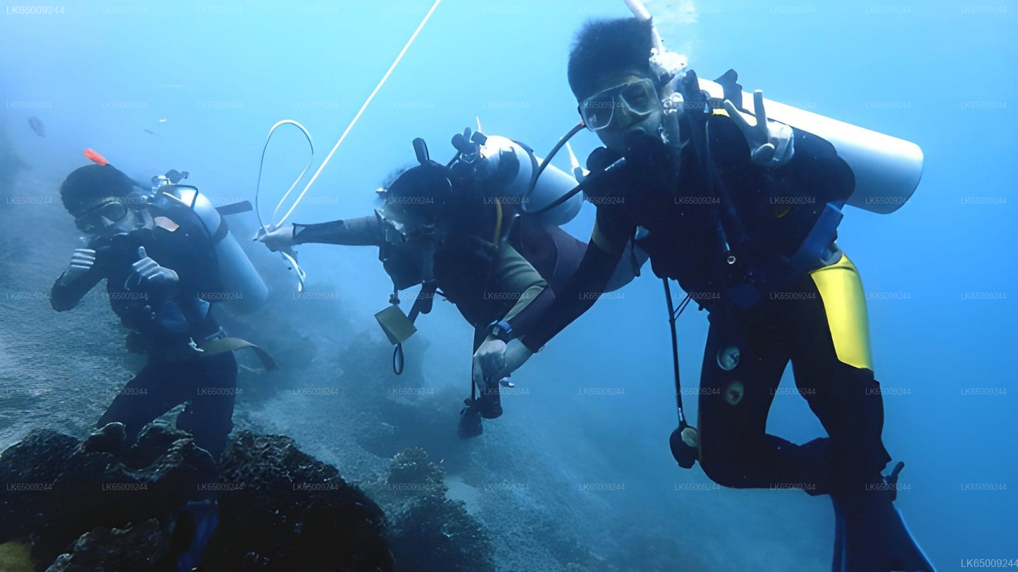 Scuba Diving from Mirissa