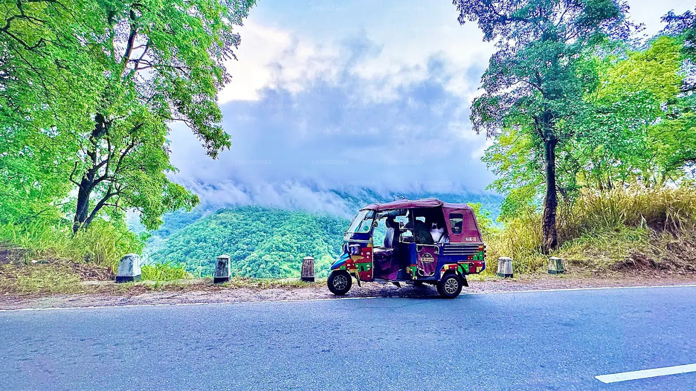 ගාල්ල සිට දකුණු වෙරළ තීරයේ ටුක් ටුක් සෆාරි