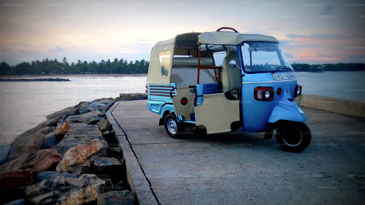 ගාල්ල සිට දකුණු වෙරළ තීරයේ ටුක් ටුක් සෆාරි