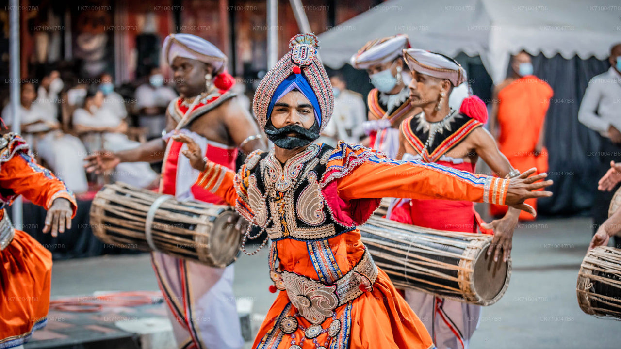 ගංගාරාමය නවම් මහා පෙරහැර