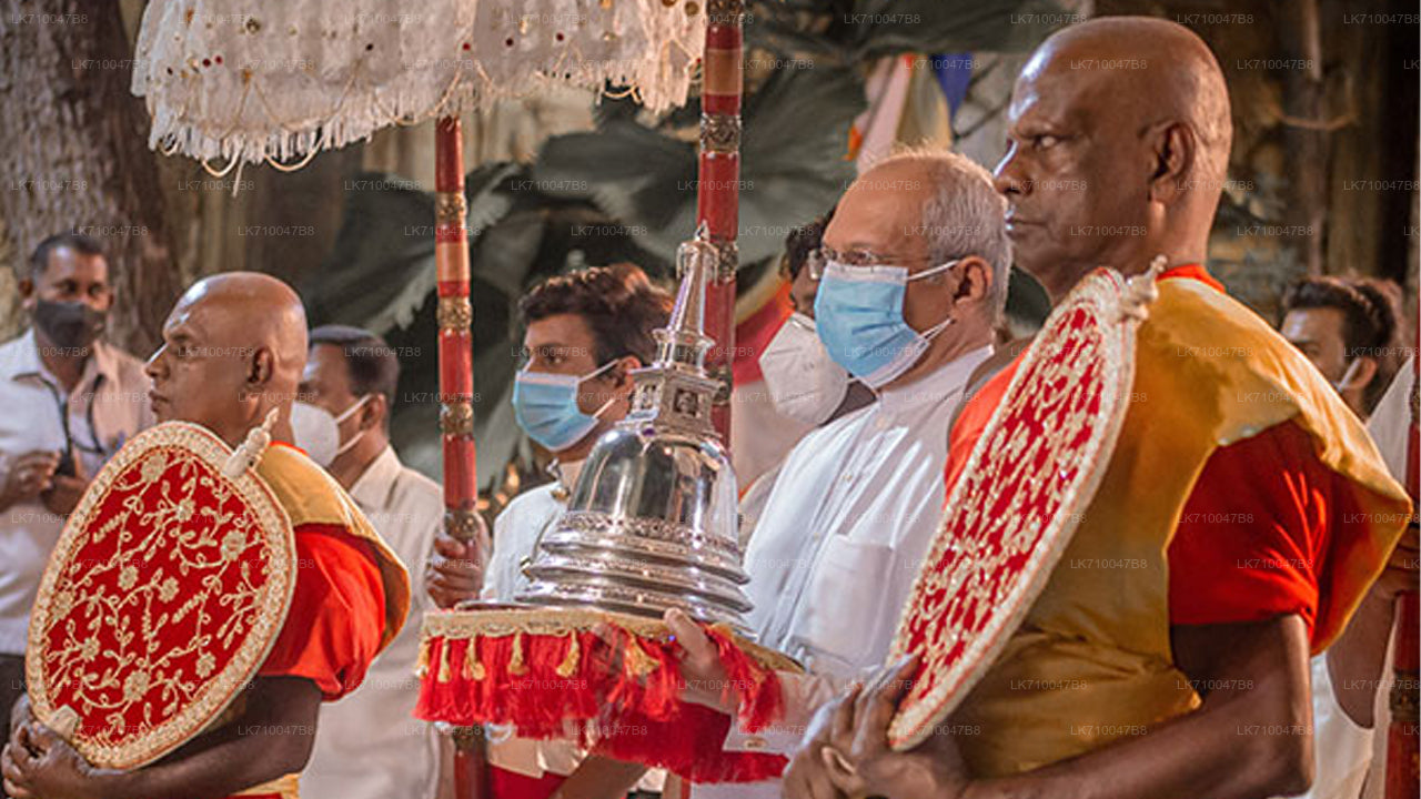 ගංගාරාමය නවම් මහා පෙරහැර