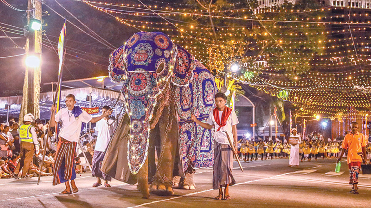 ගංගාරාමය නවම් මහා පෙරහැර