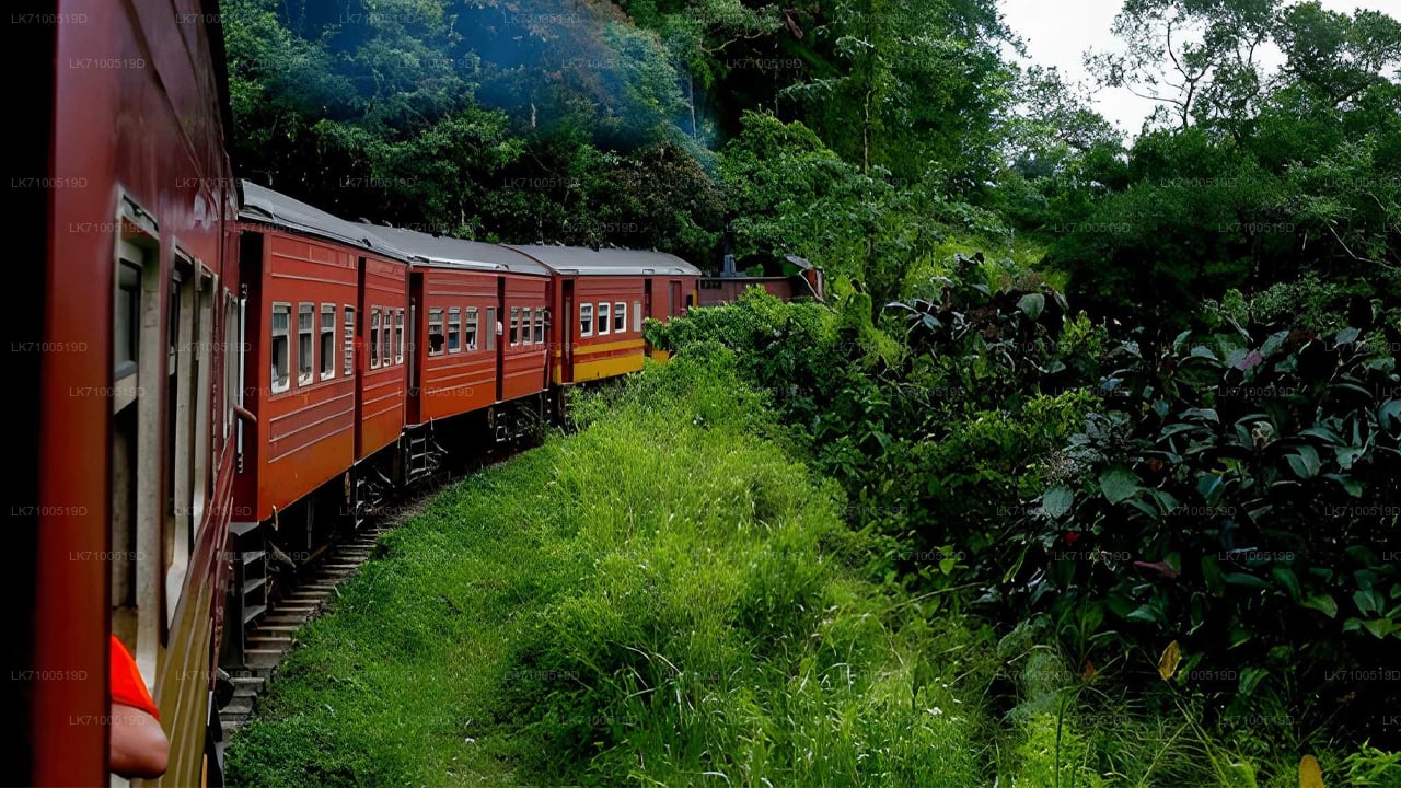 අඹේවෙල සිට ඇල්ල දක්වා දුම්රිය ගමන (දුම්රිය අංක 1005/1015)