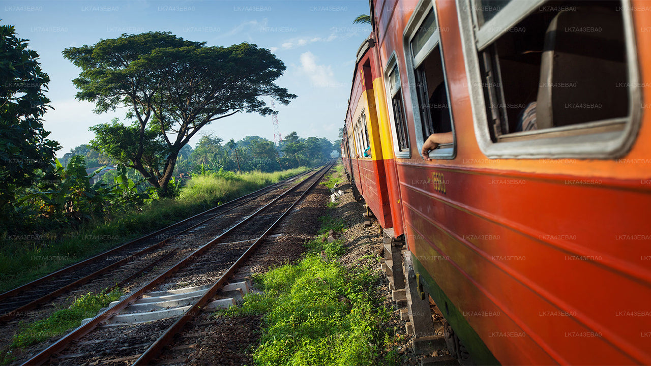 Train Ticket Reservation from Kandy