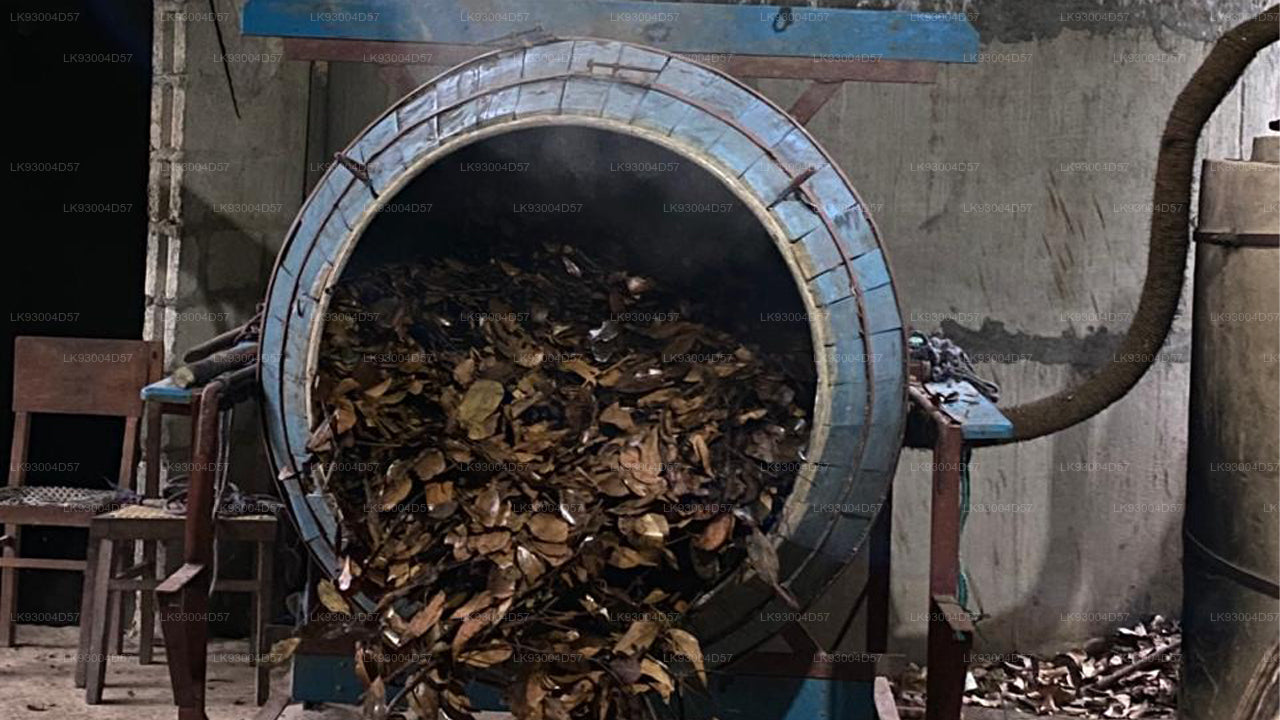 අහංගම සිට ප්‍රායෝගික කුරුඳු සුවඳ දුම් සෑදීමේ අත්දැකීම