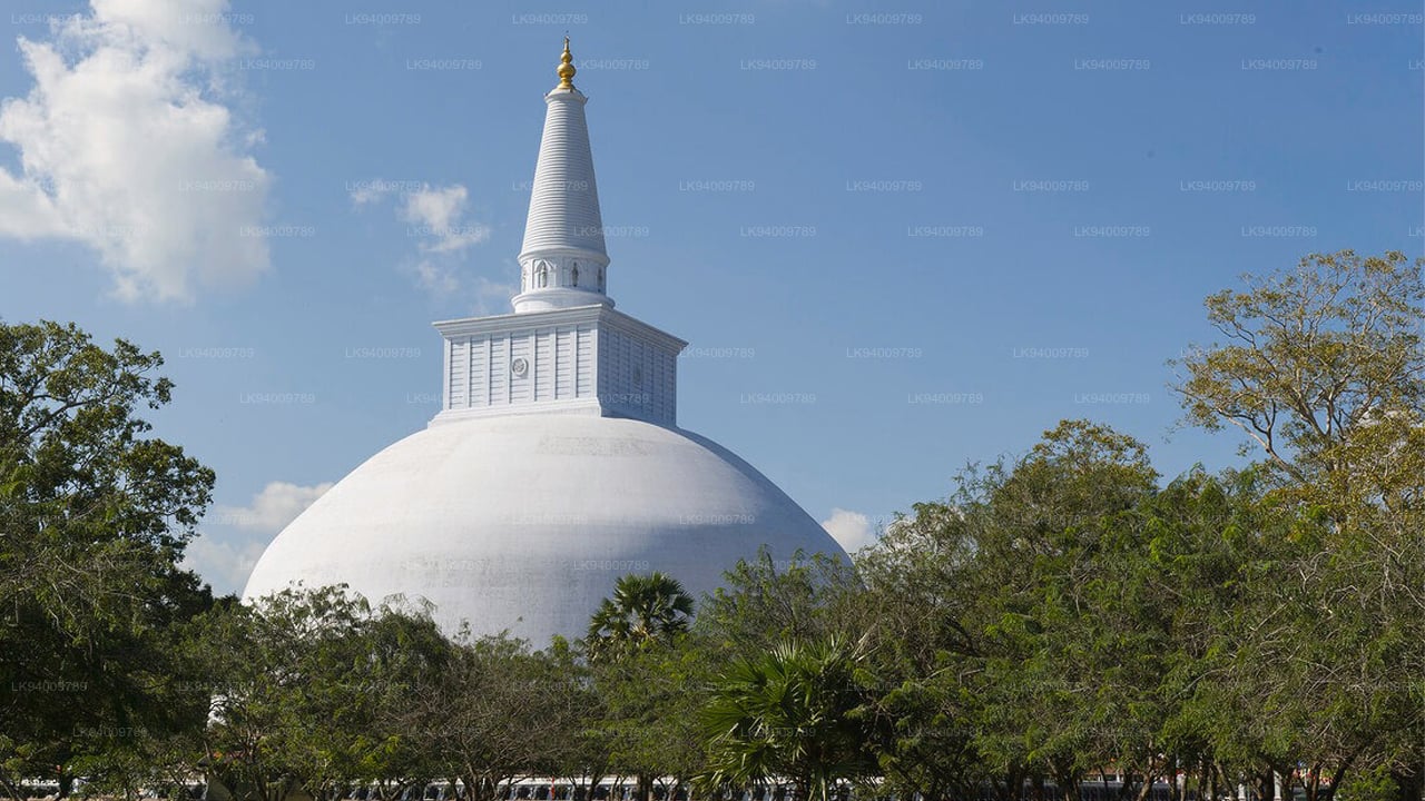 කොළඹ සිට අනුරාධපුර පූජනීය නගරය
