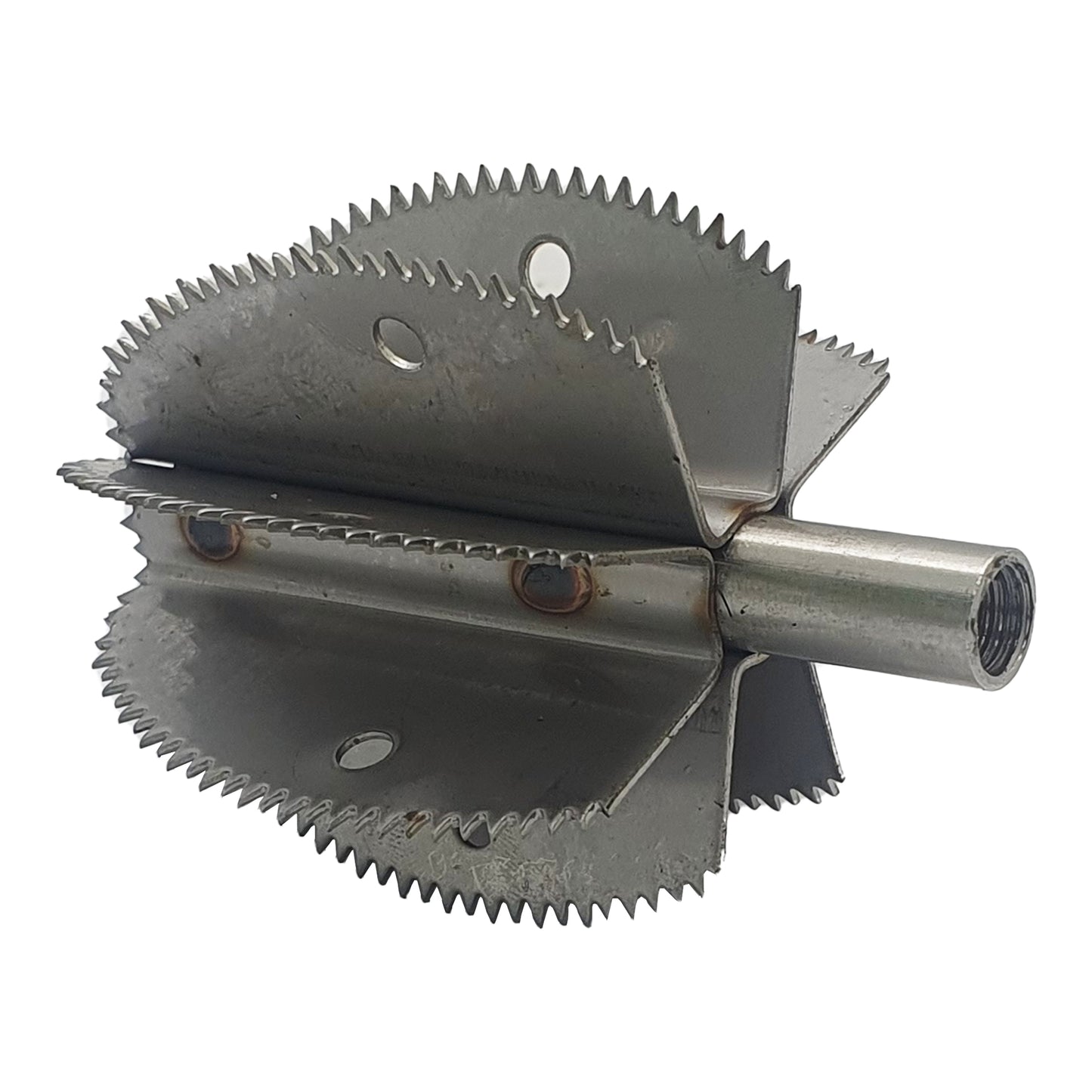 Odiris Coconut Scraper Replacement Blade
