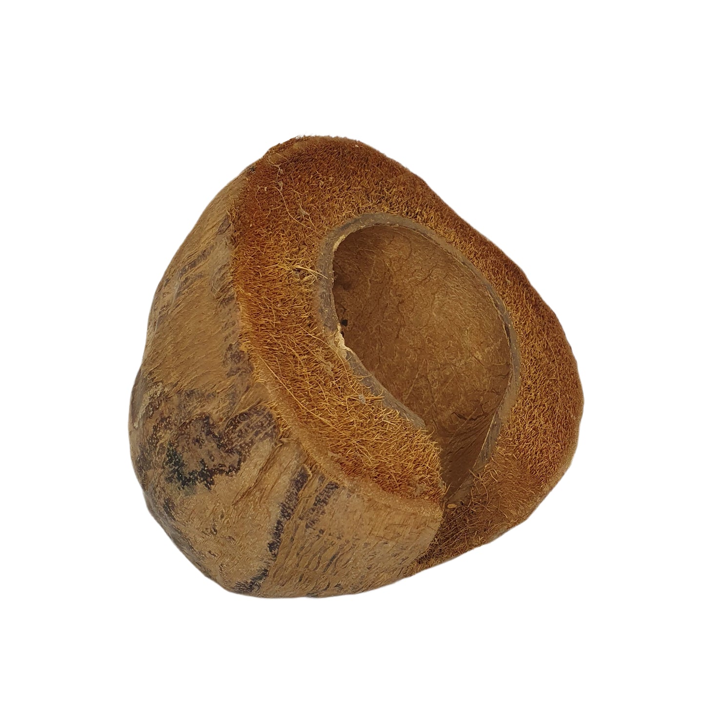 Bivenro Natural 3/4 Cocoa Hideout With Husk design (Free Size)