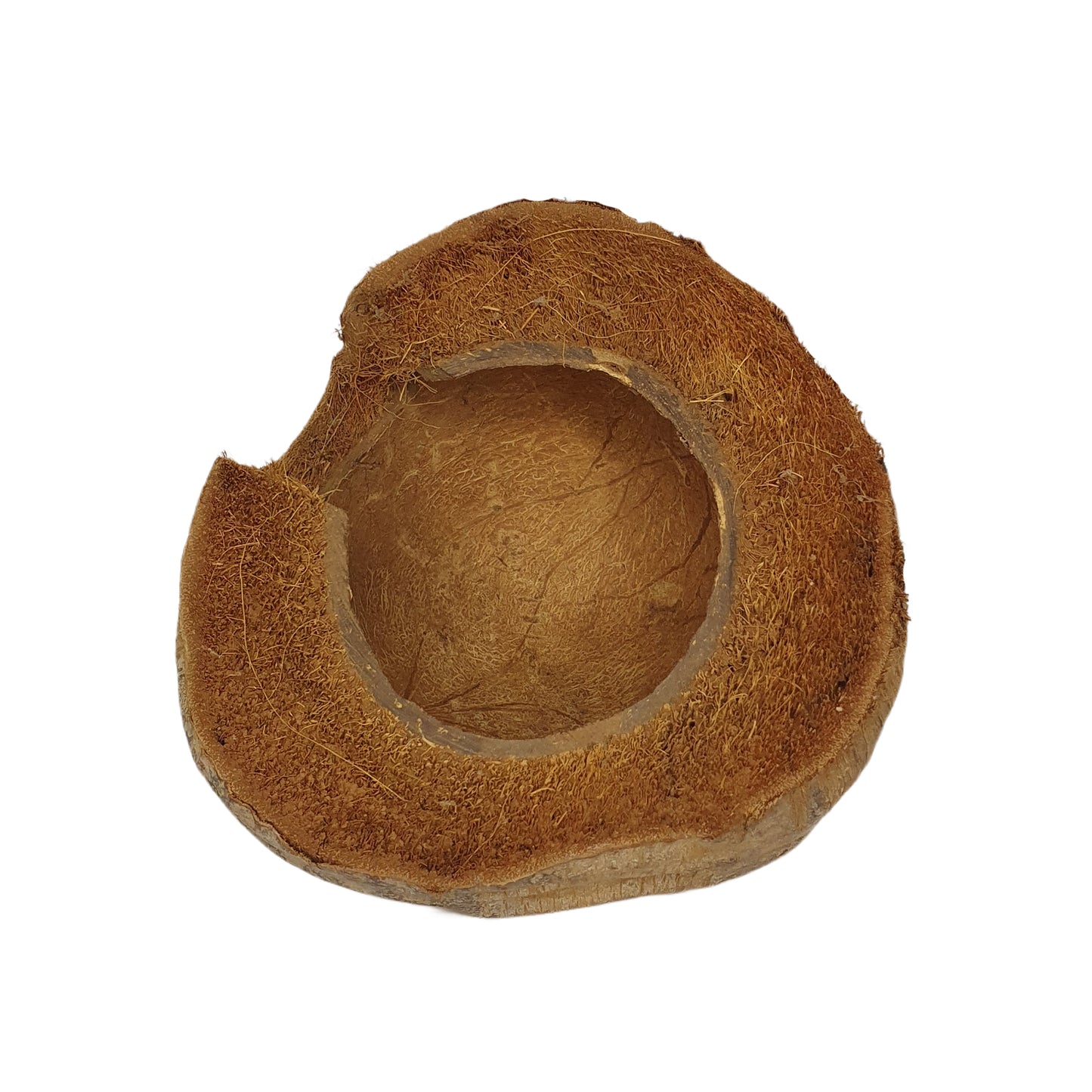 Bivenro Natural 3/4 Cocoa Hideout With Husk design (Free Size)