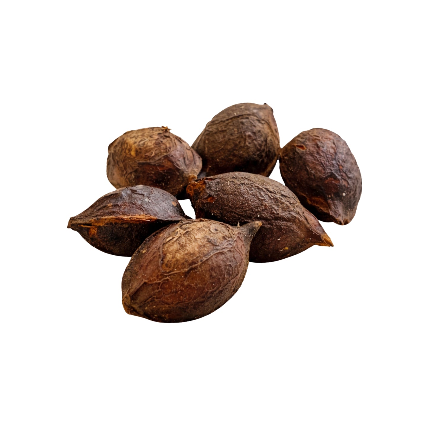 ලක්පුර® ටර්මිනලියා කැටප්පා (කොට්ටම්බා) සම්පූර්ණ බීජ