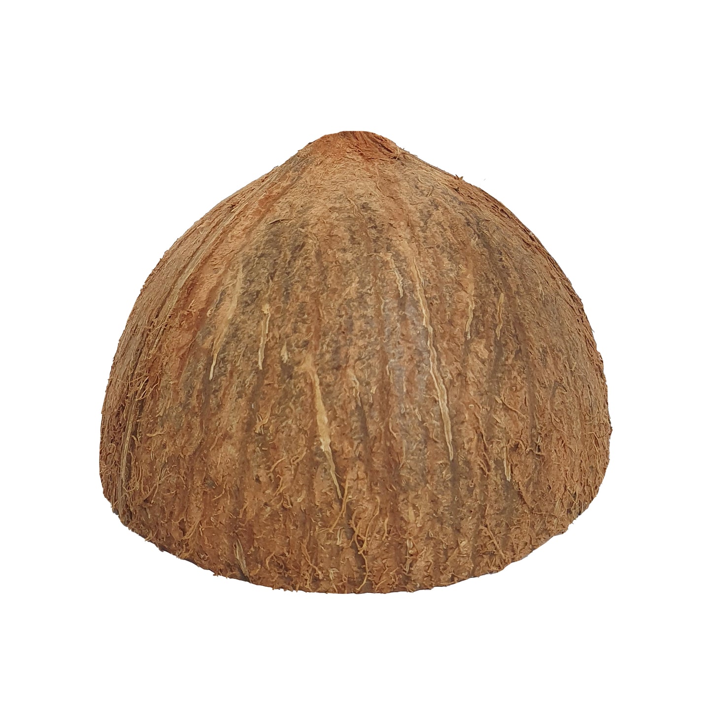 ලක්පුර® අර්ධ පොල්කටු