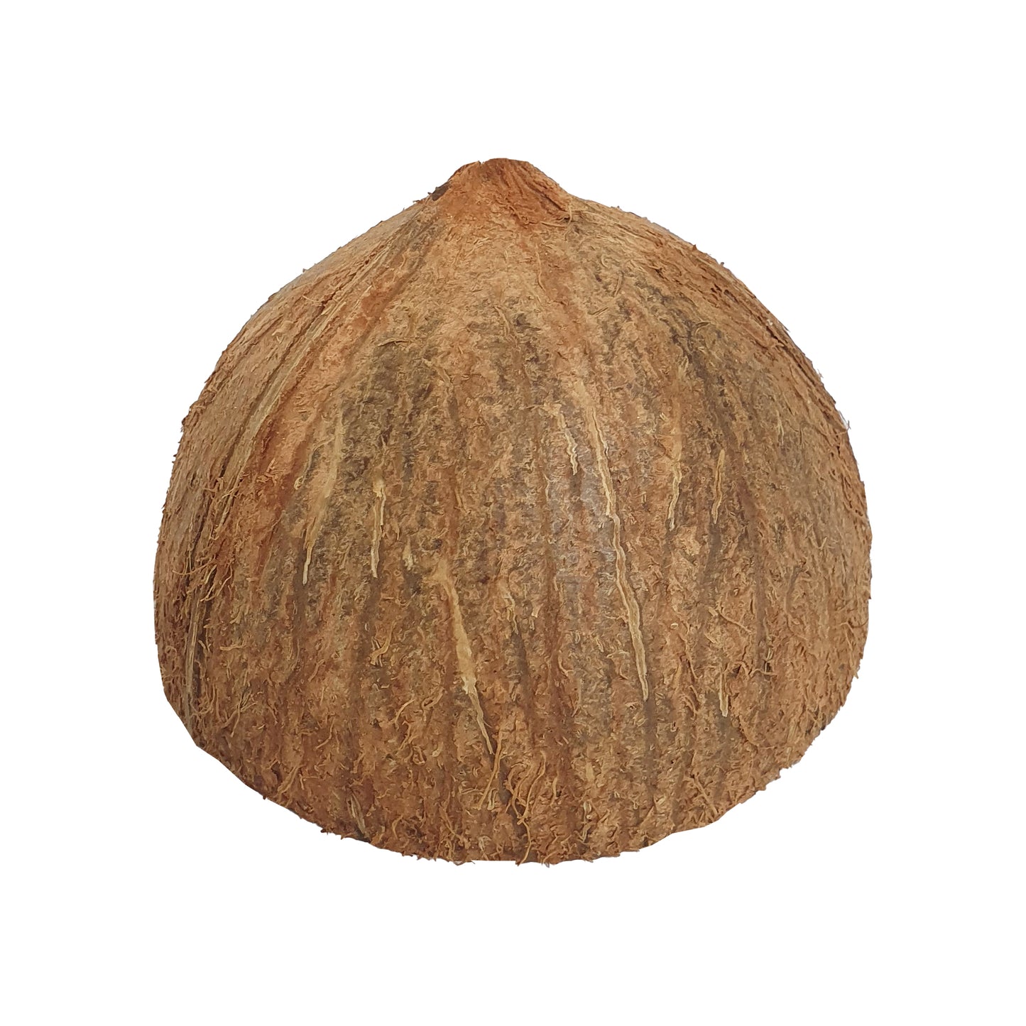 ලක්පුර® අර්ධ පොල්කටු