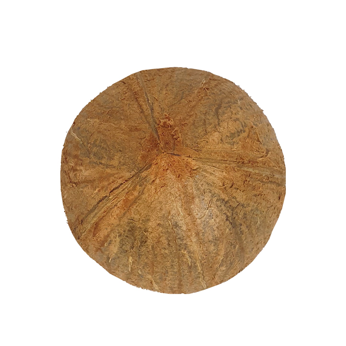 ලක්පුර® අර්ධ පොල්කටු