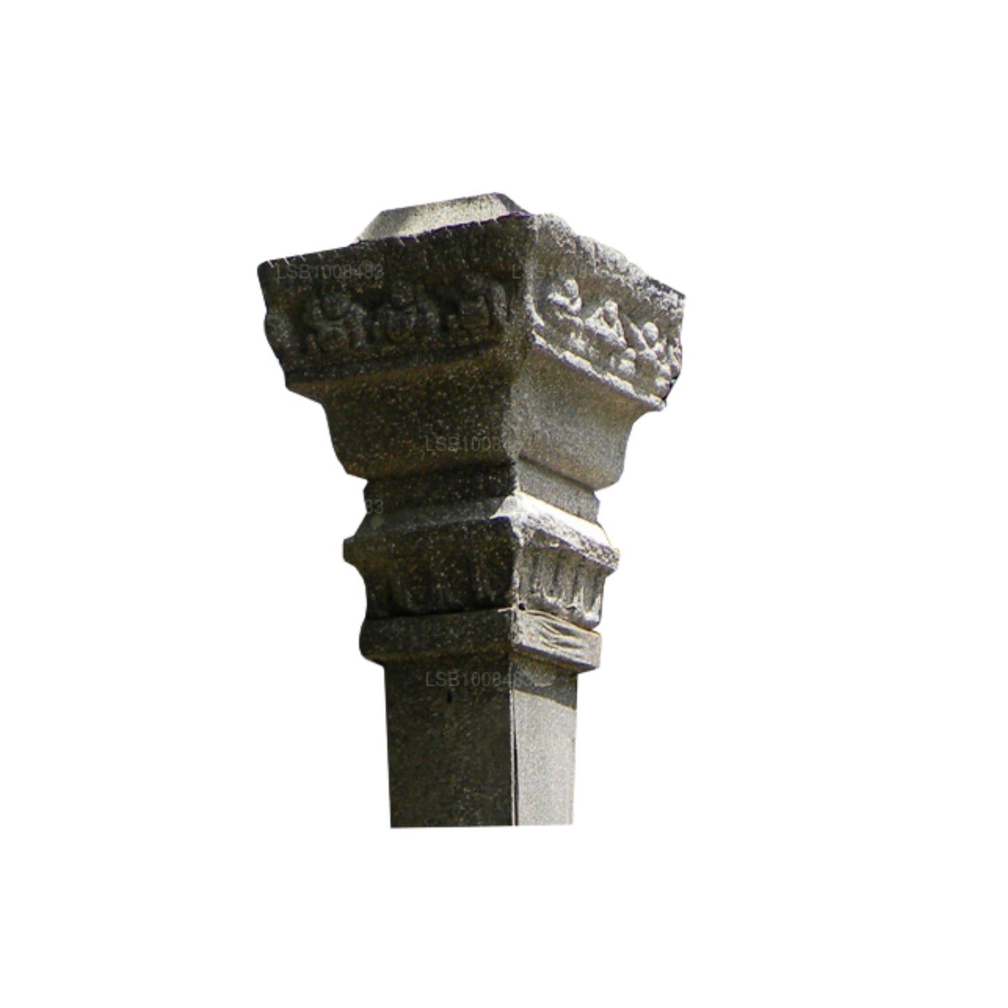 NHRC Column Head - Anuradhapura