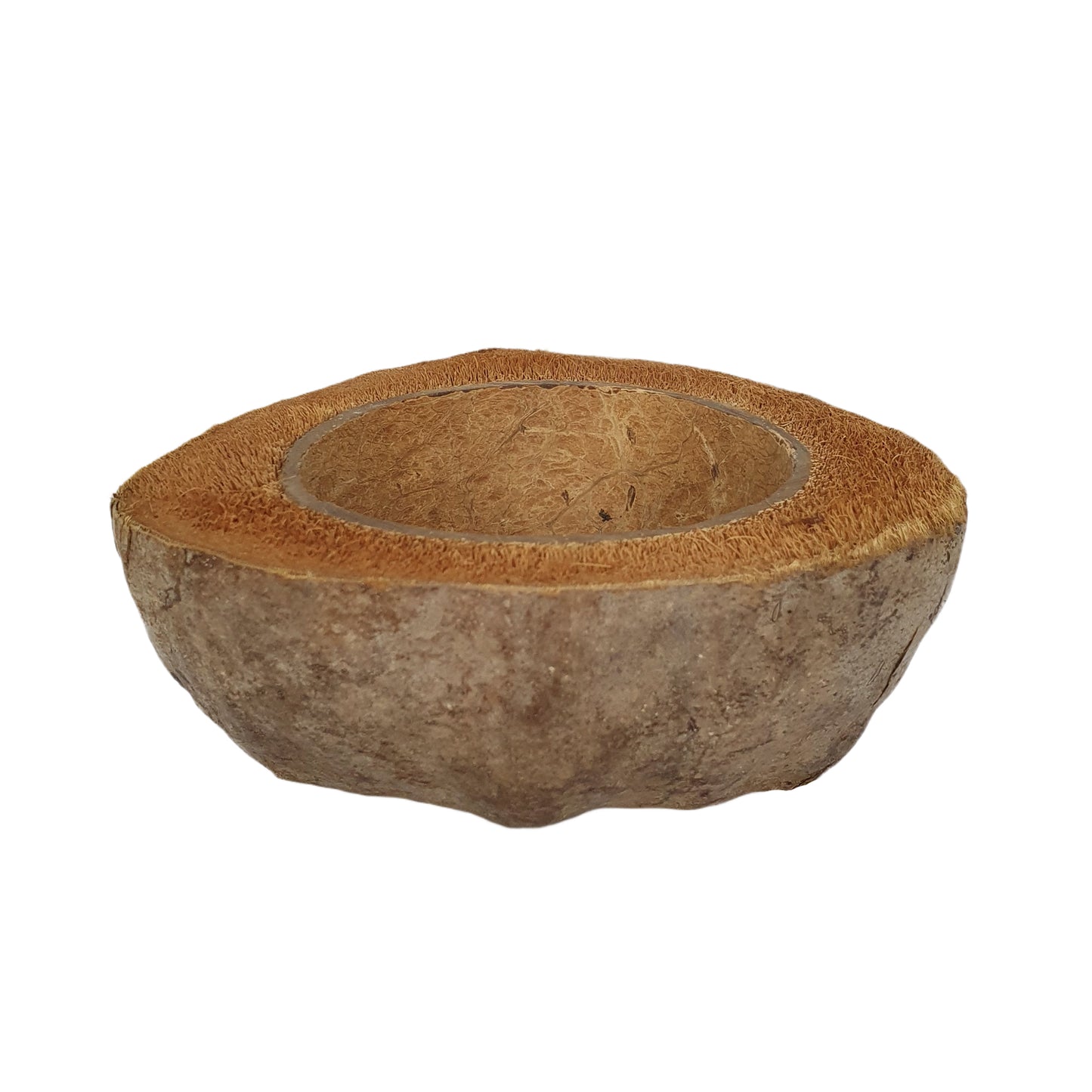 Bivenro Natural Coconut Planting Pot Design (Free Size)
