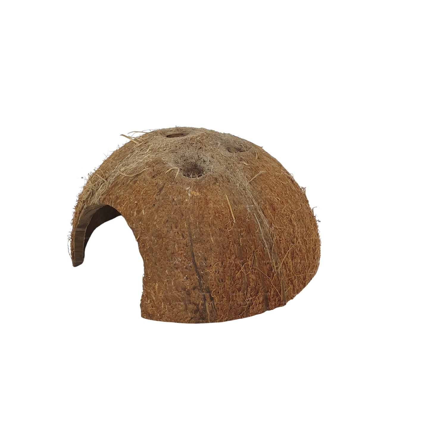 Bivenro Natural 1/2 Coconut Shell Cave (Free Size)