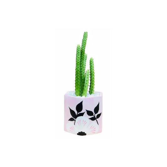 Lakpura® Cactus Plant