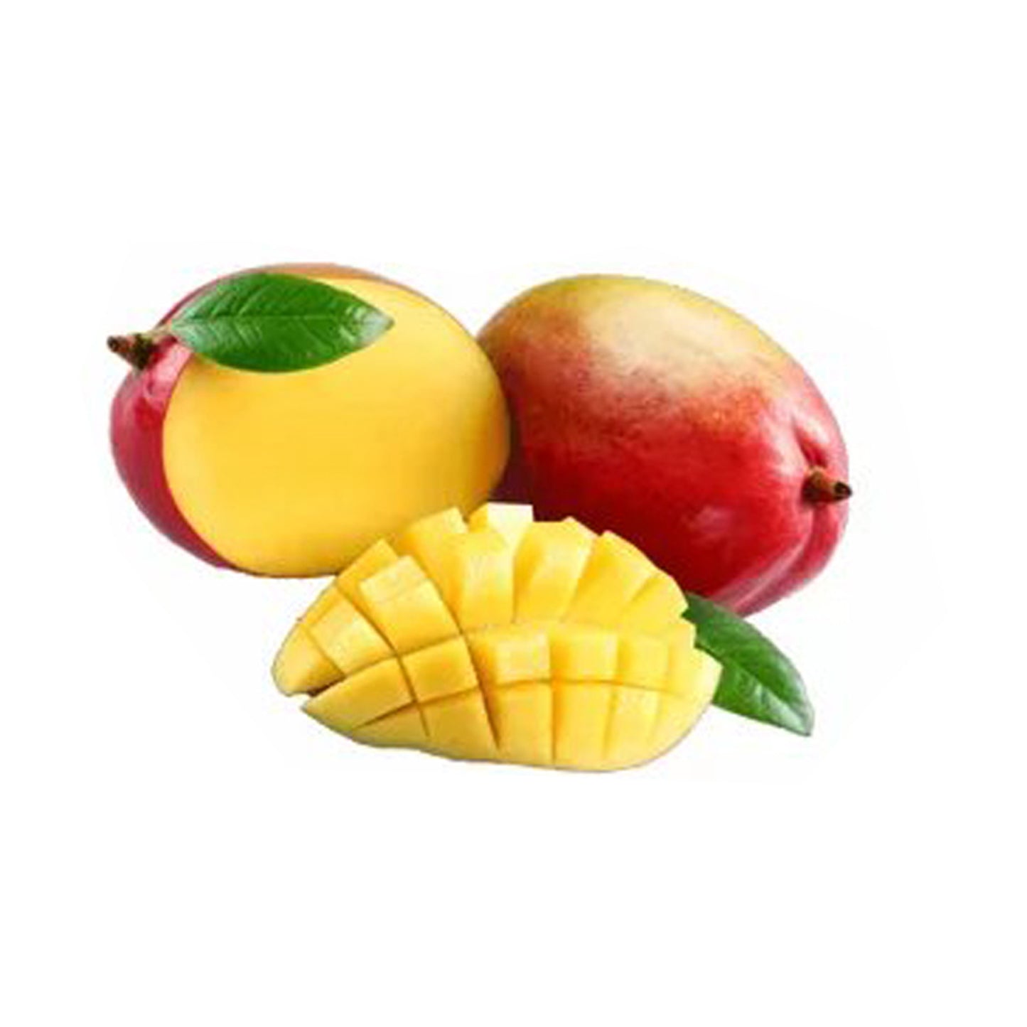 Lakpura Vilad Mango Grafted Plant
