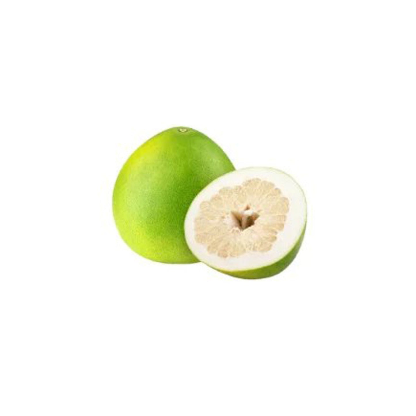ලක්පුර® තායි සුදු ජම්බෝල (බද්ධ) පැළ