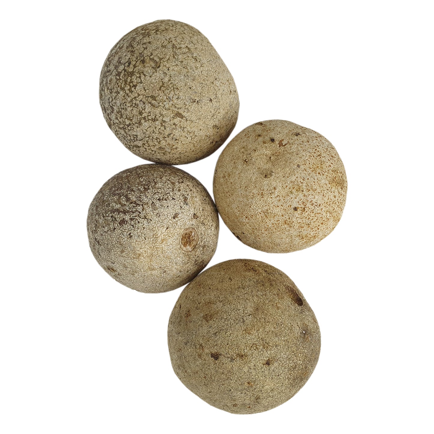 Lakpura Wood Apple