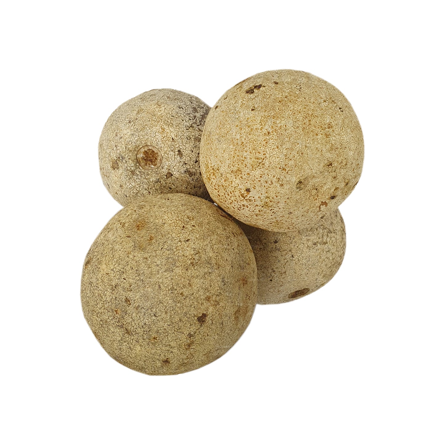 Lakpura Wood Apple