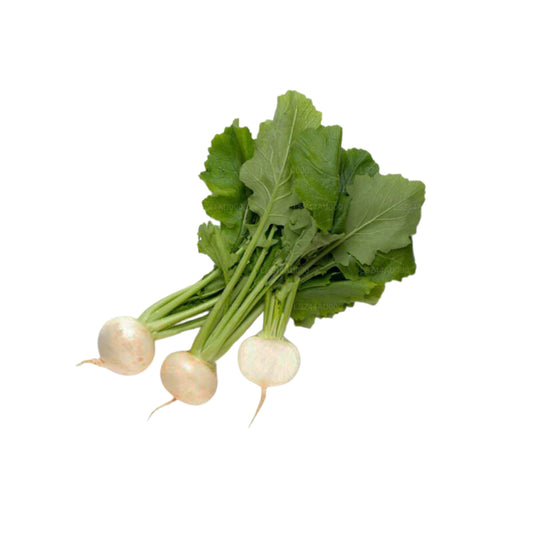 Lakpura® Radish