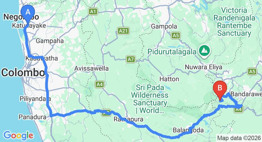Driving route map: Colombo Airport (CMB) to Acacia Inn, Ohiya (238 km, approx 6 h 10 min private transfer)