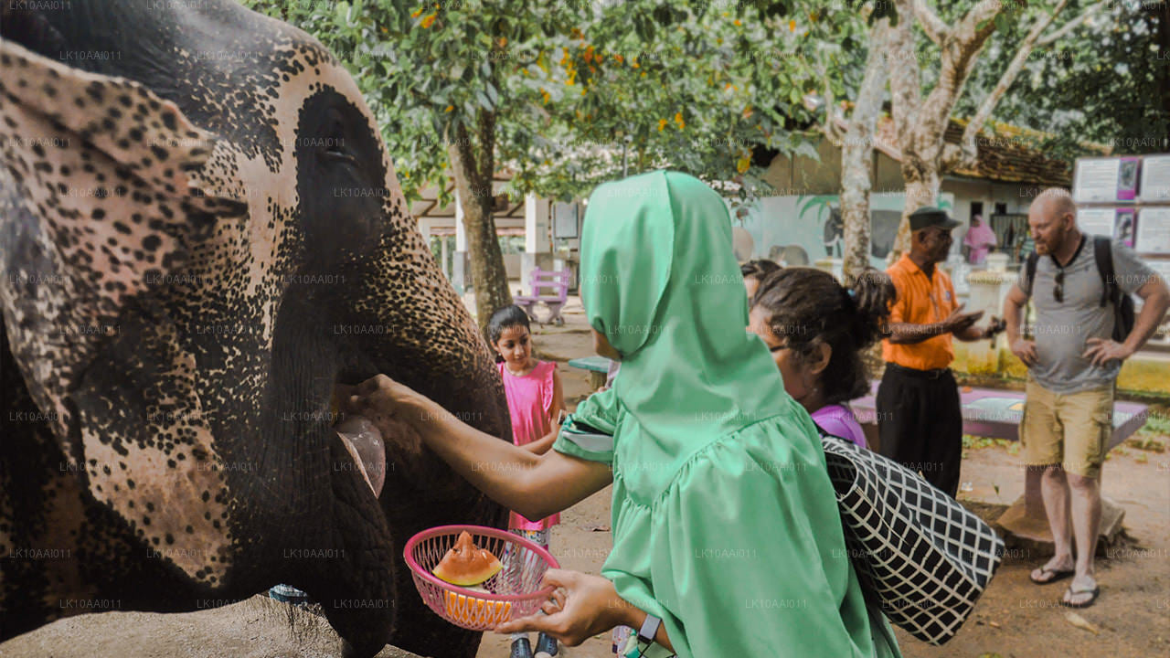 Sri Lanka Halal (Islamic) Tour (10 Days)