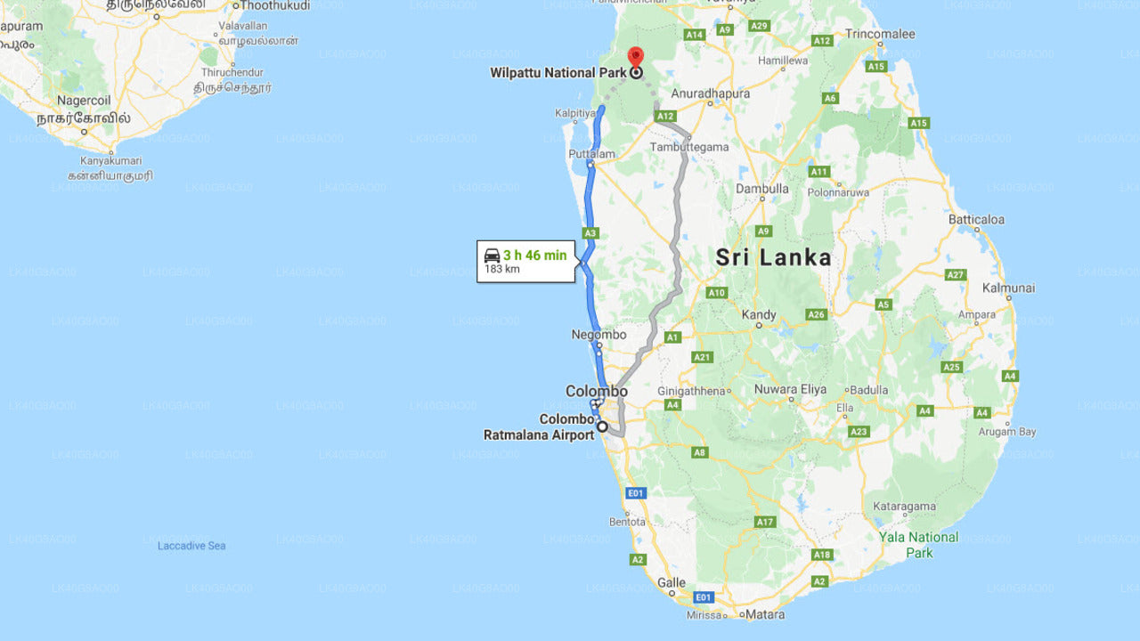 Ratmalana (RML) Airport to Wilpattu City Private Transfer