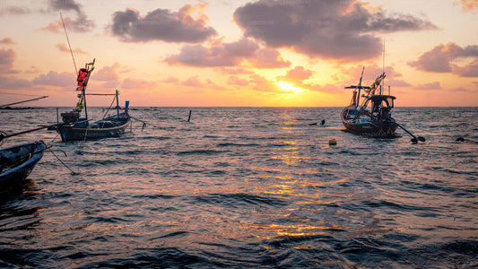 Deep Sea Fishing from Trincomalee