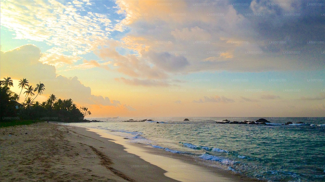කොළඹ සිට හඳුන්ගොඩ, ගාල්ල සහ කොස්ගොඩ
