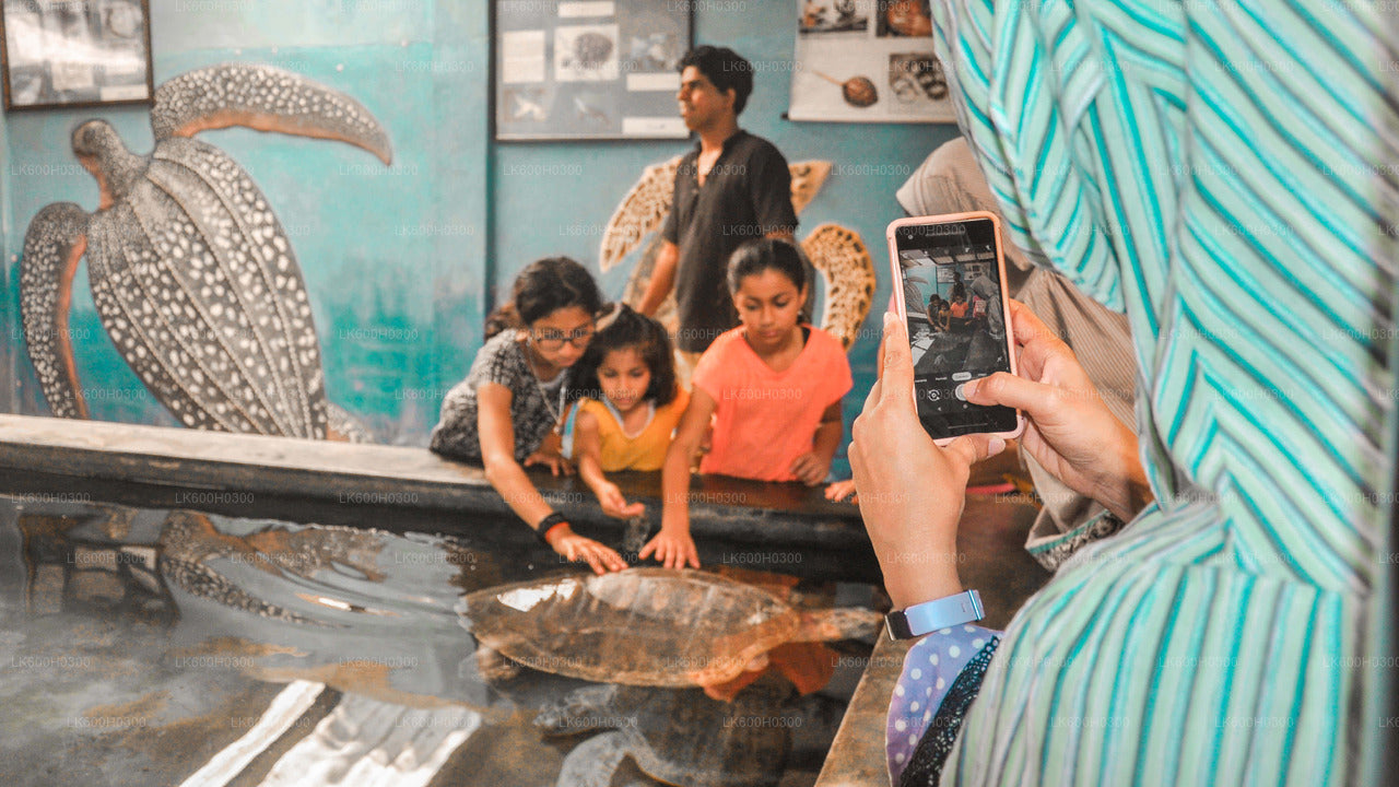 කොළඹ සිට හඳුන්ගොඩ, ගාල්ල සහ කොස්ගොඩ