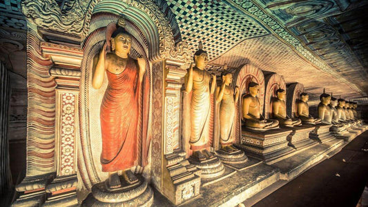 දඹුල්ල ලෙන් විහාරය නැරඹීමට ප්‍රවේශපත්‍ර සමඟ මඟ පෙන්වන චාරිකාව