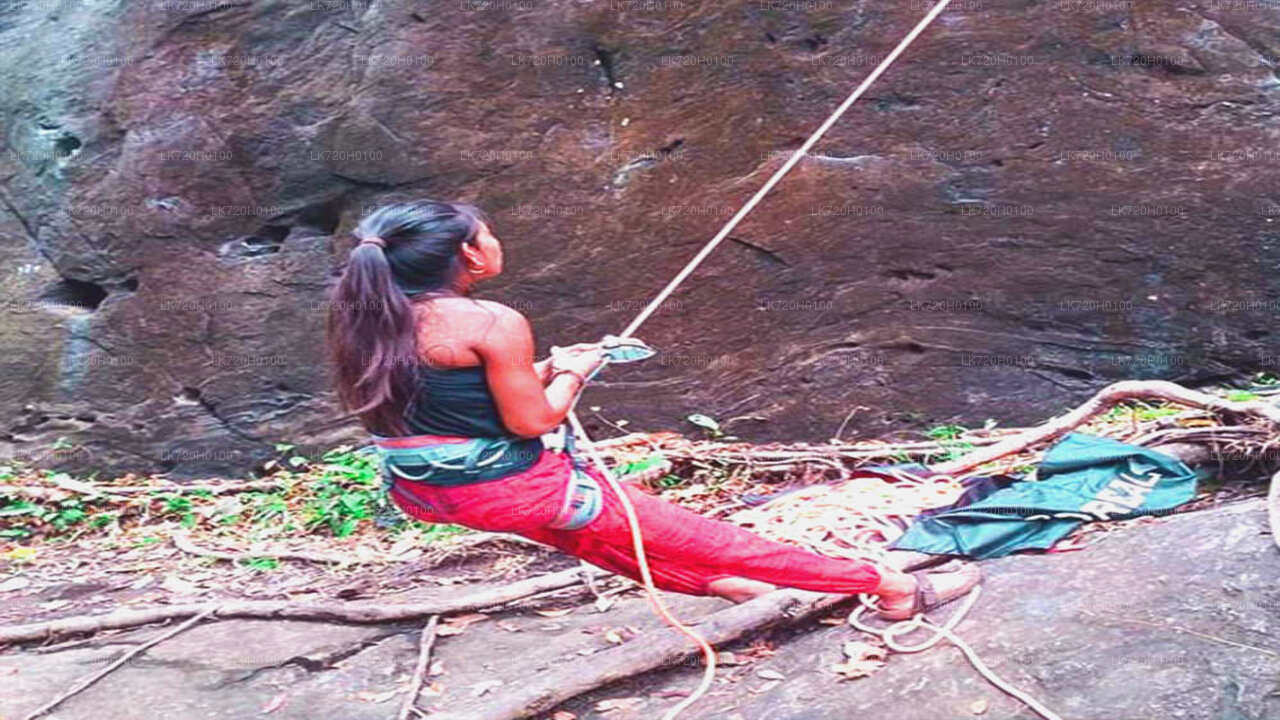 Forest Rock Climbing from Colombo