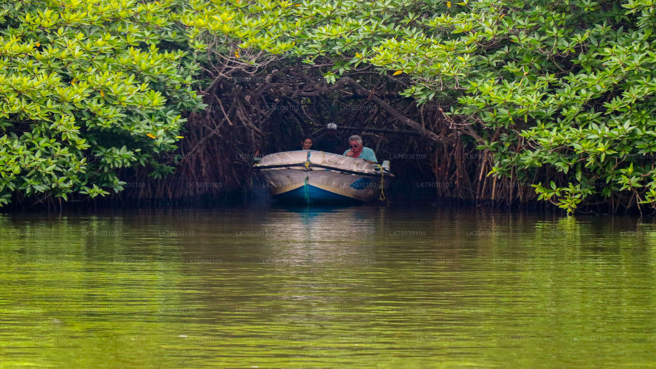 Bentota City Tour from Colombo
