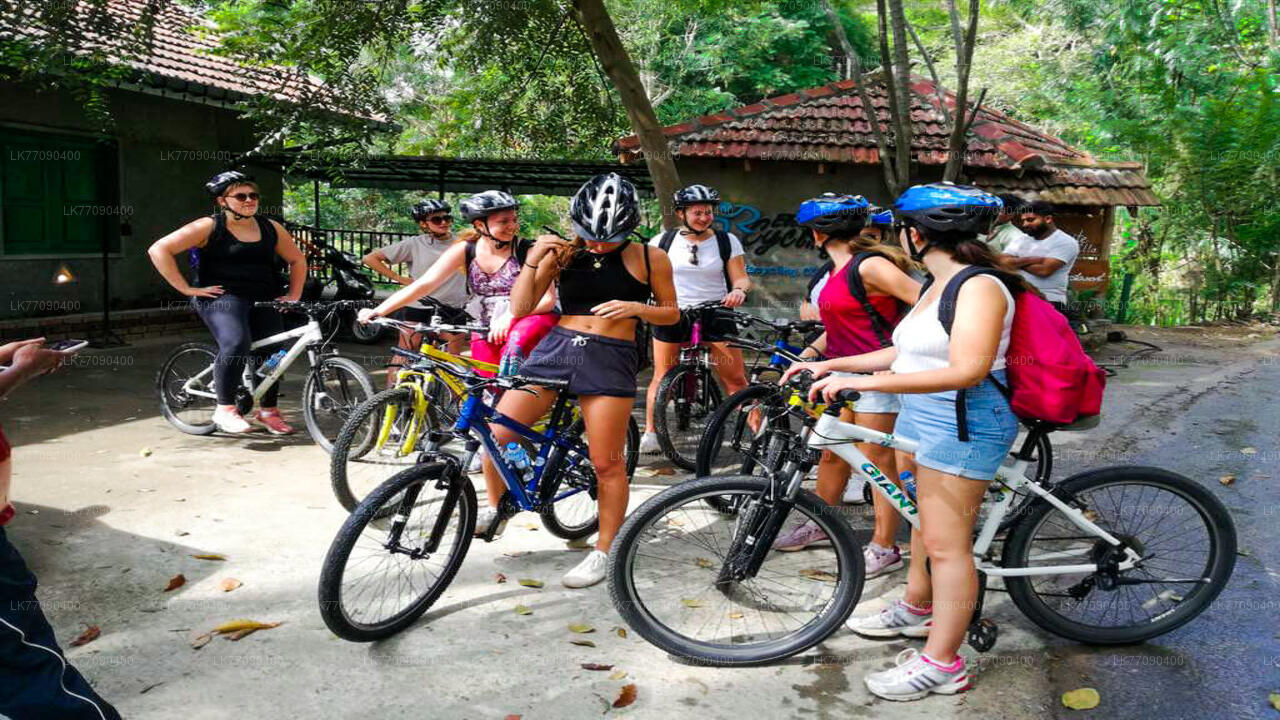 ඇල්ලෙ නගරයේ සිට බයිසිකලයෙන් පුරාණ ඇල්ල නගරය සොයා යන්න