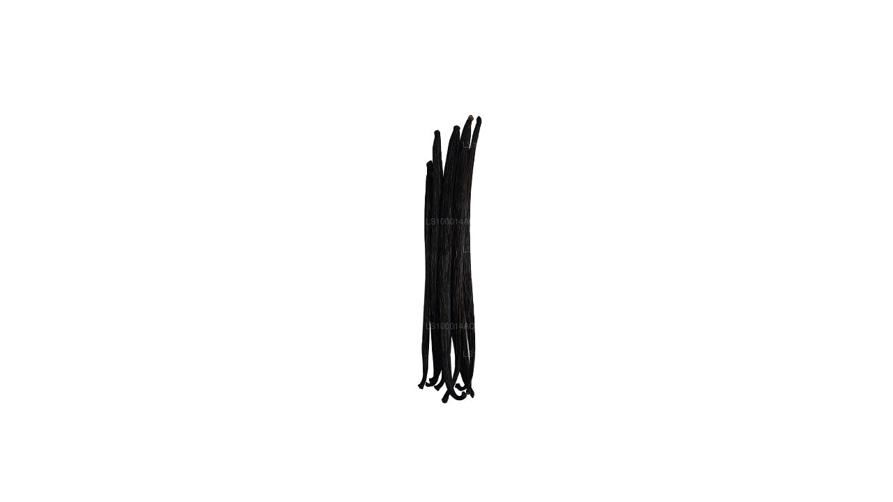 Lakpura Sri Lankan (Ceylon) Grade "A+" Natural Vanilla Beans